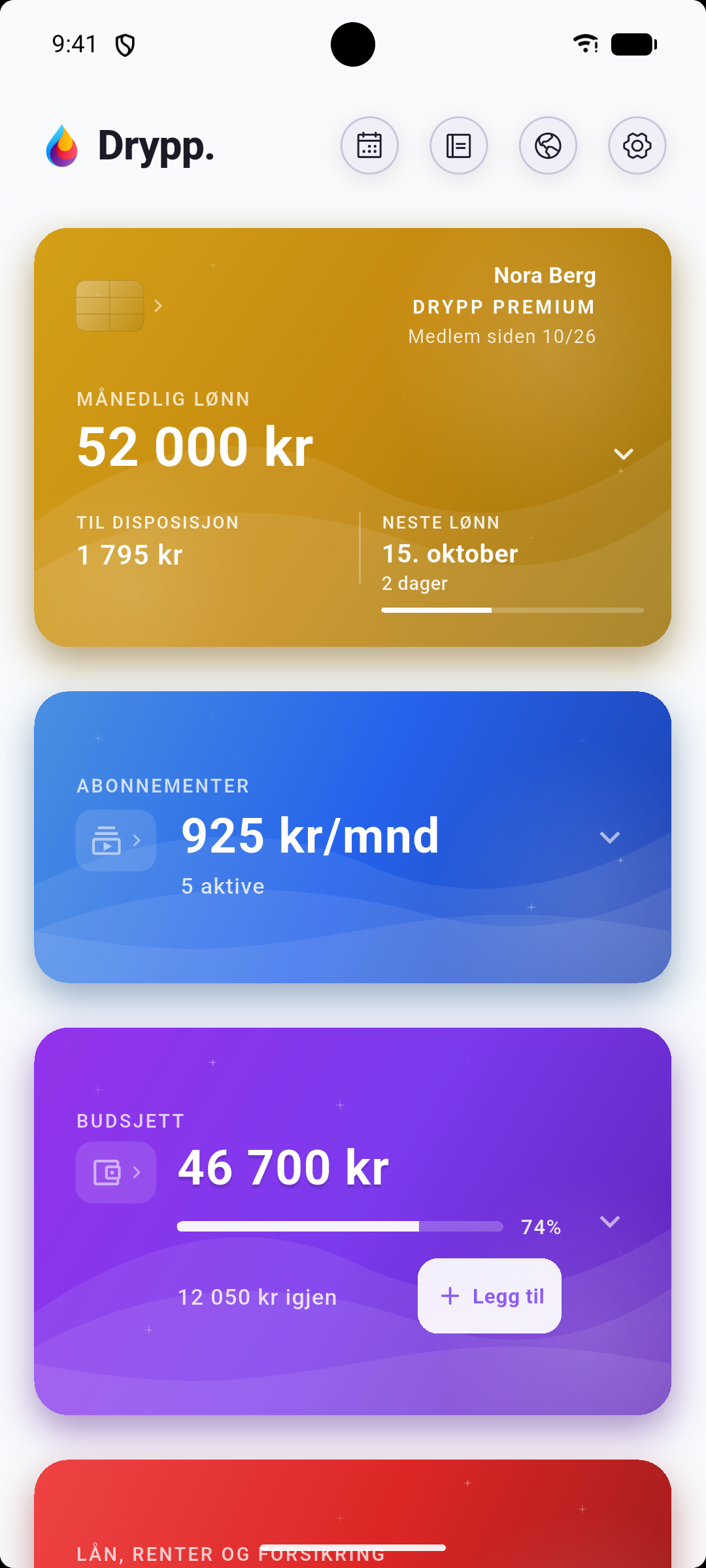 Drypp oversikt med lønn, abonnementer og budsjett